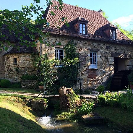 Le Moulin De La Beune Les Eyzies Εξωτερικό φωτογραφία
