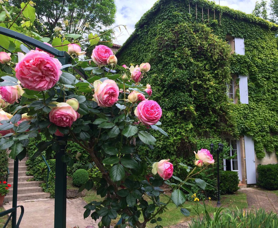 Le Moulin De La Beune Les Eyzies Εξωτερικό φωτογραφία
